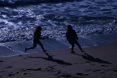 DSC_0420 (Large).JPG